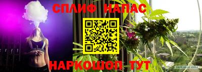 ПСИЛОЦИБИНОВЫЕ ГРИБЫ Жуковский