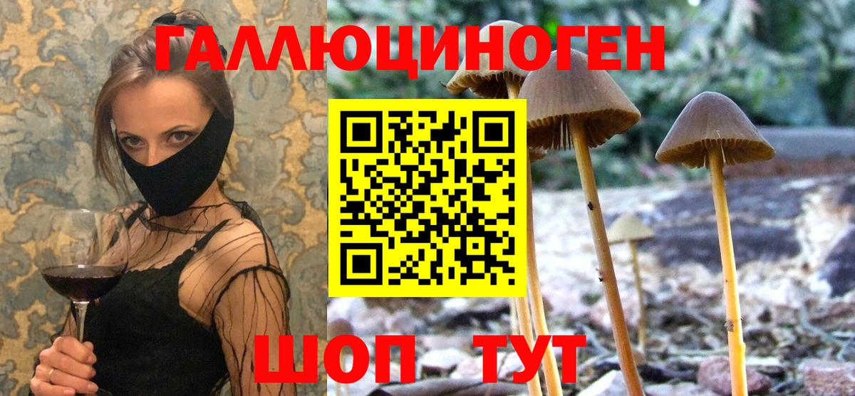 Псилоцибиновые грибы мицелий  Вход с VPN  Луховицы 