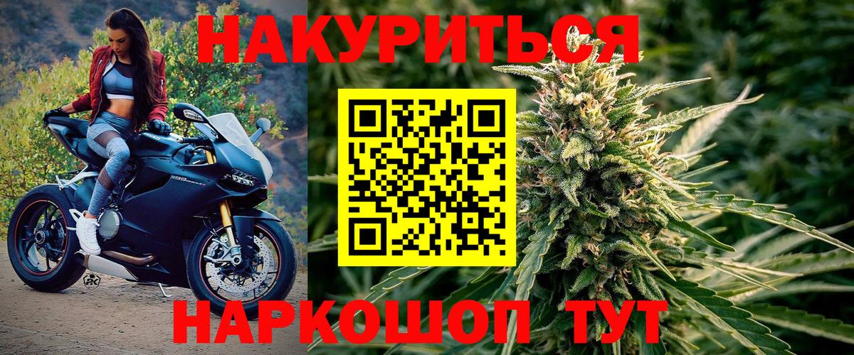 Бошки Шишки планчик Луховицы